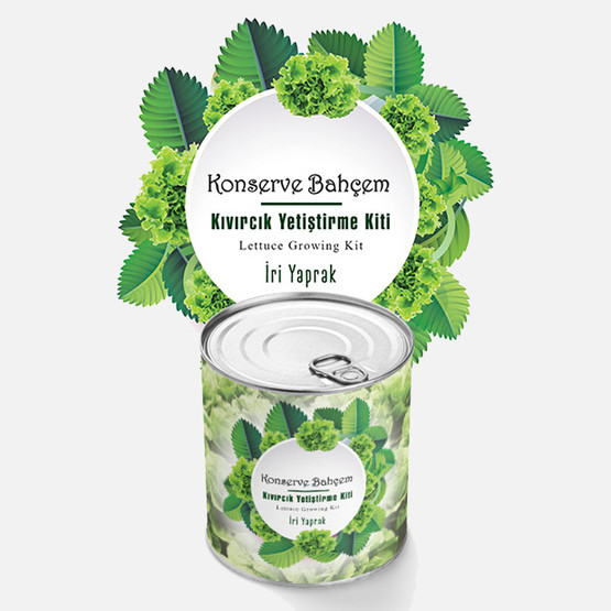 Konserve Bahçem Kıvırcık Fide Yetiştirme Kiti 