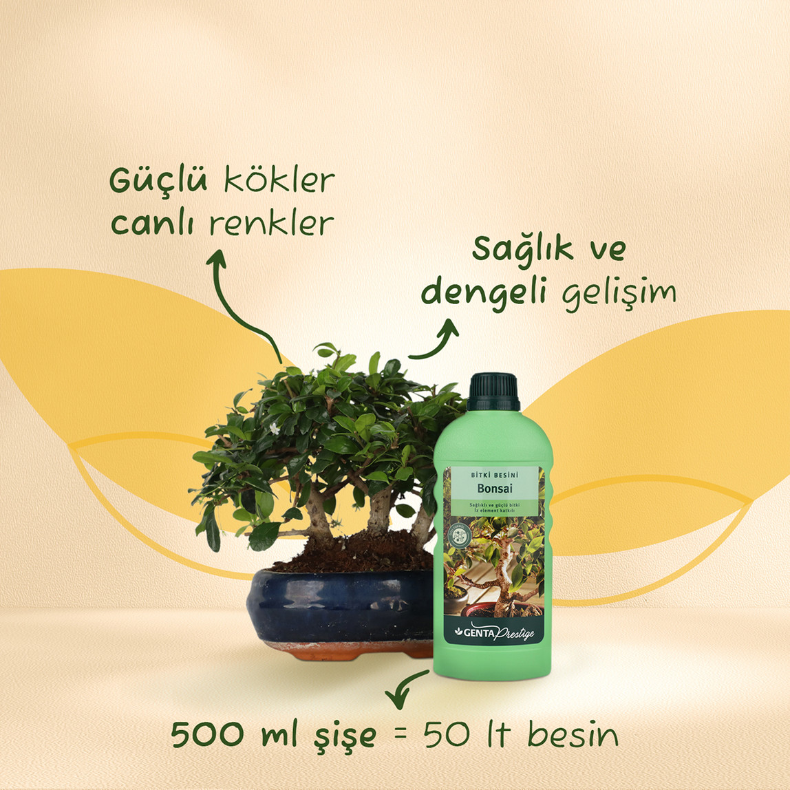    Genta Prestige Bonsai İçin Bitki Besini  
