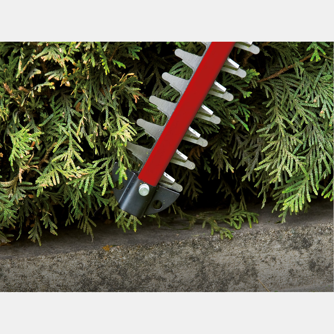    Einhell GC-CH 1846 Li Solo Akülü Çit Budama Makinesi (Akü ve Şarj Cihazı Dahil Değildir)  