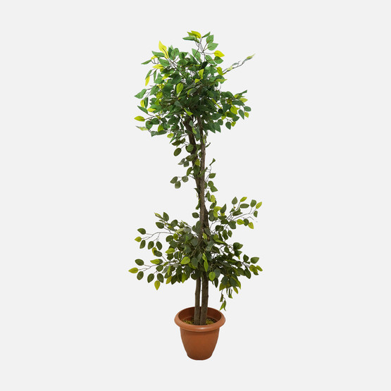 Lux Benjamin Yapay Bitki 160cm