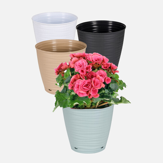 PlastArt Sahra Saksı 11cm