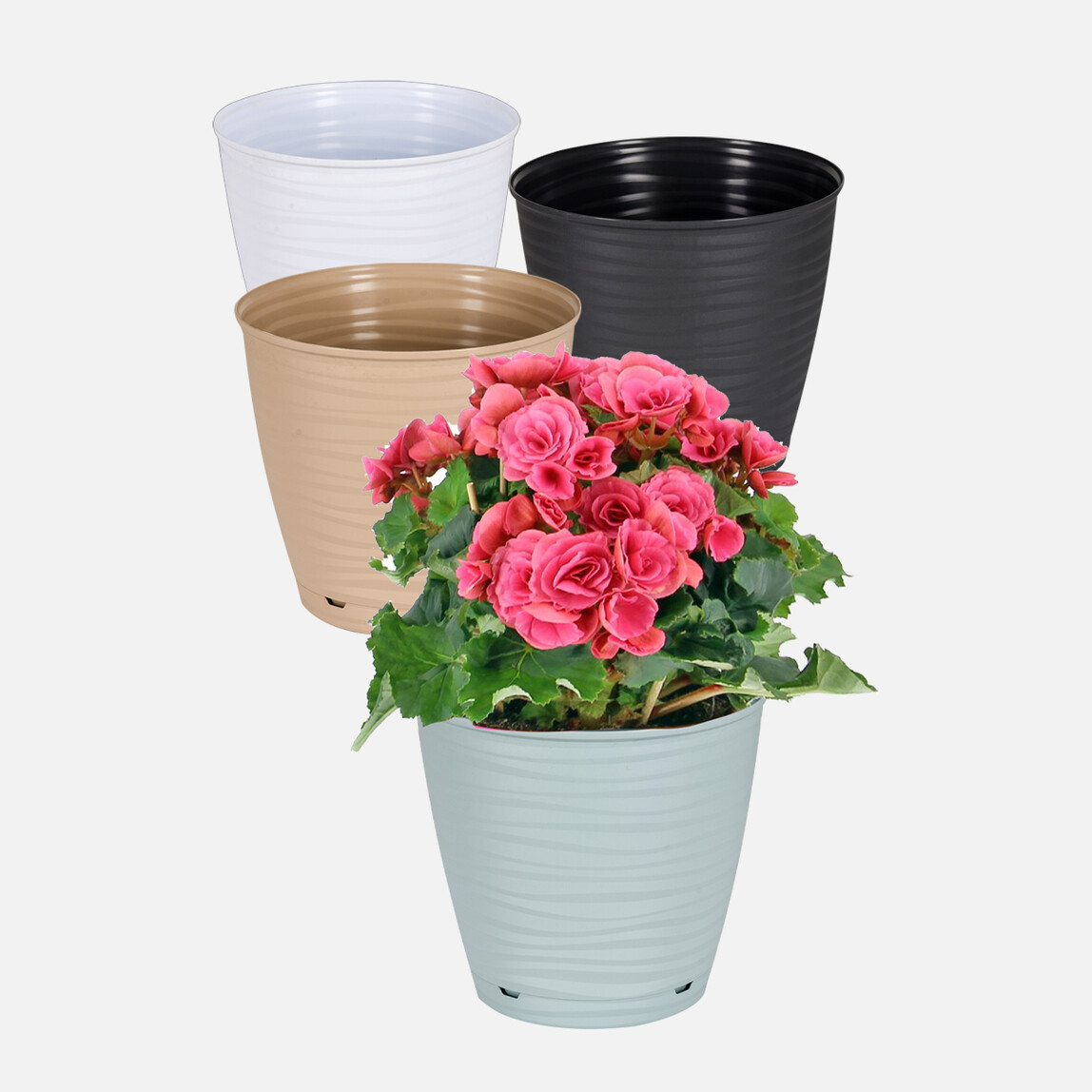    PlastArt Sahra Saksı 13cm 