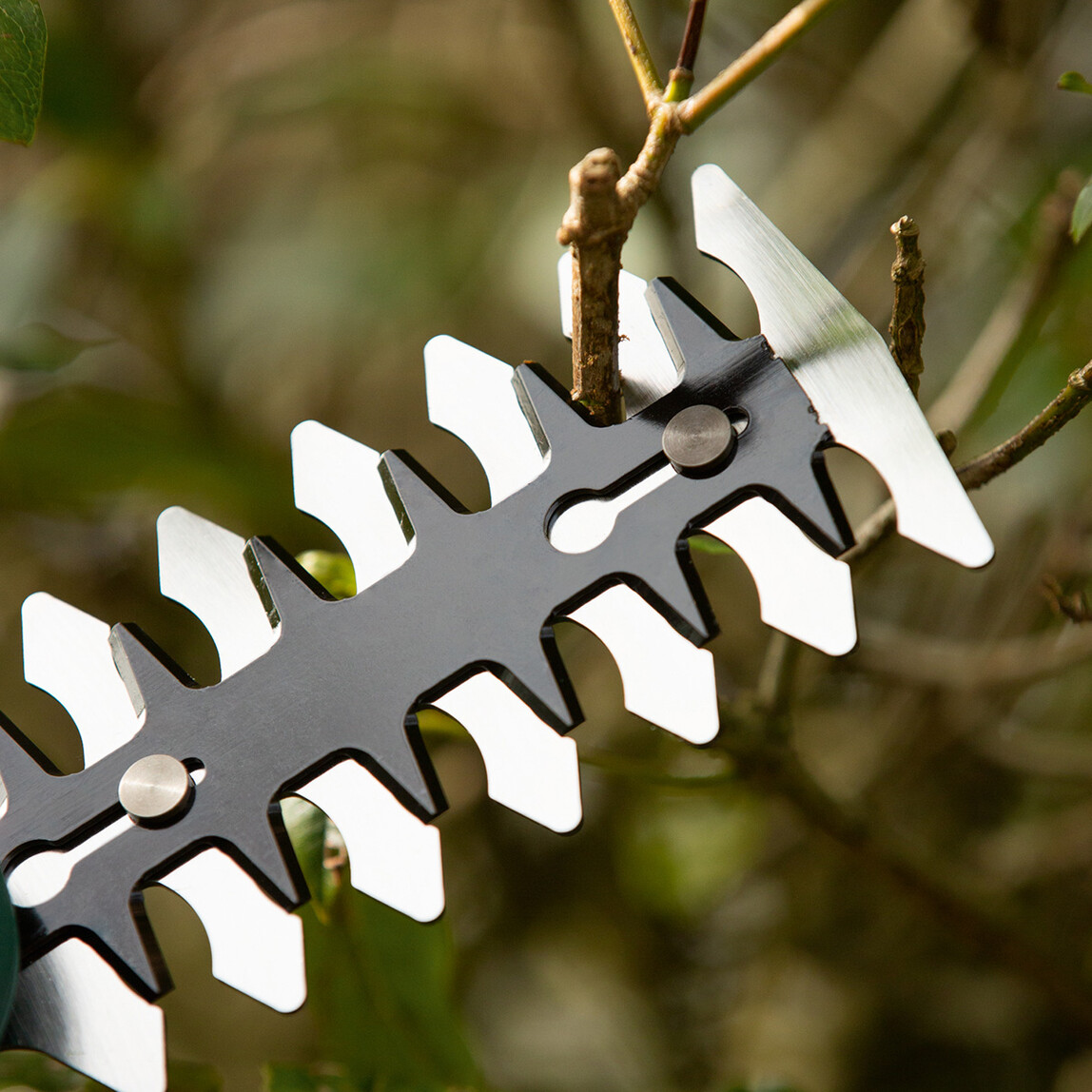    Bosch Isio III Akülü Çit Kesme Makinesi 