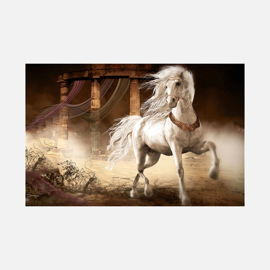 Artist Kanvas Tablo 70x100 cm 