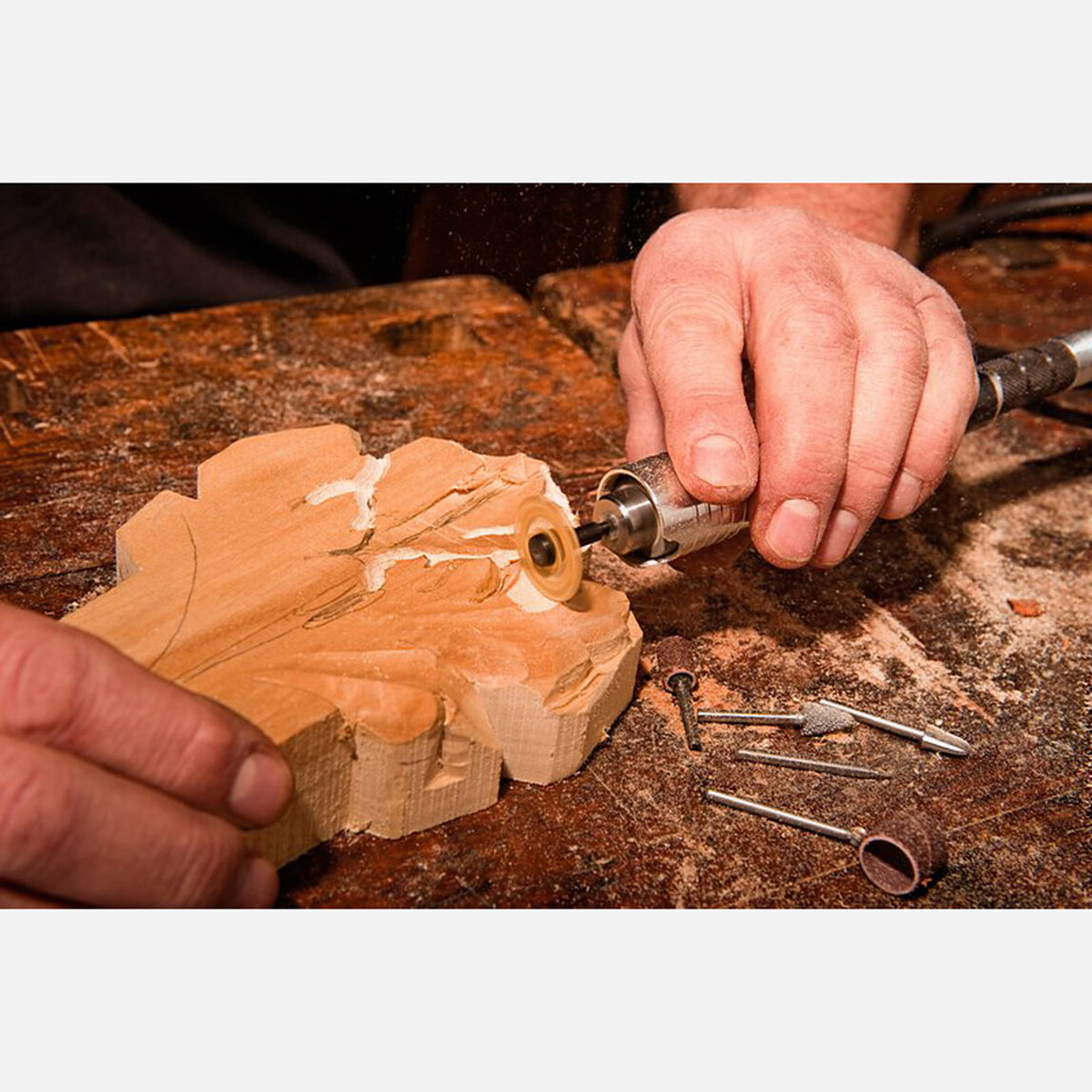    Dremel Fortiflex (9100-21) Alet Sistemi  