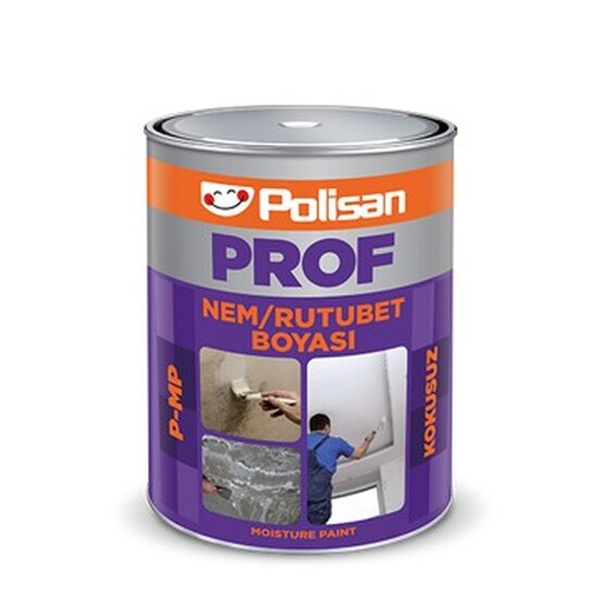 Polisan 1 KG Profesyonel Kokusuz Nem Boyası