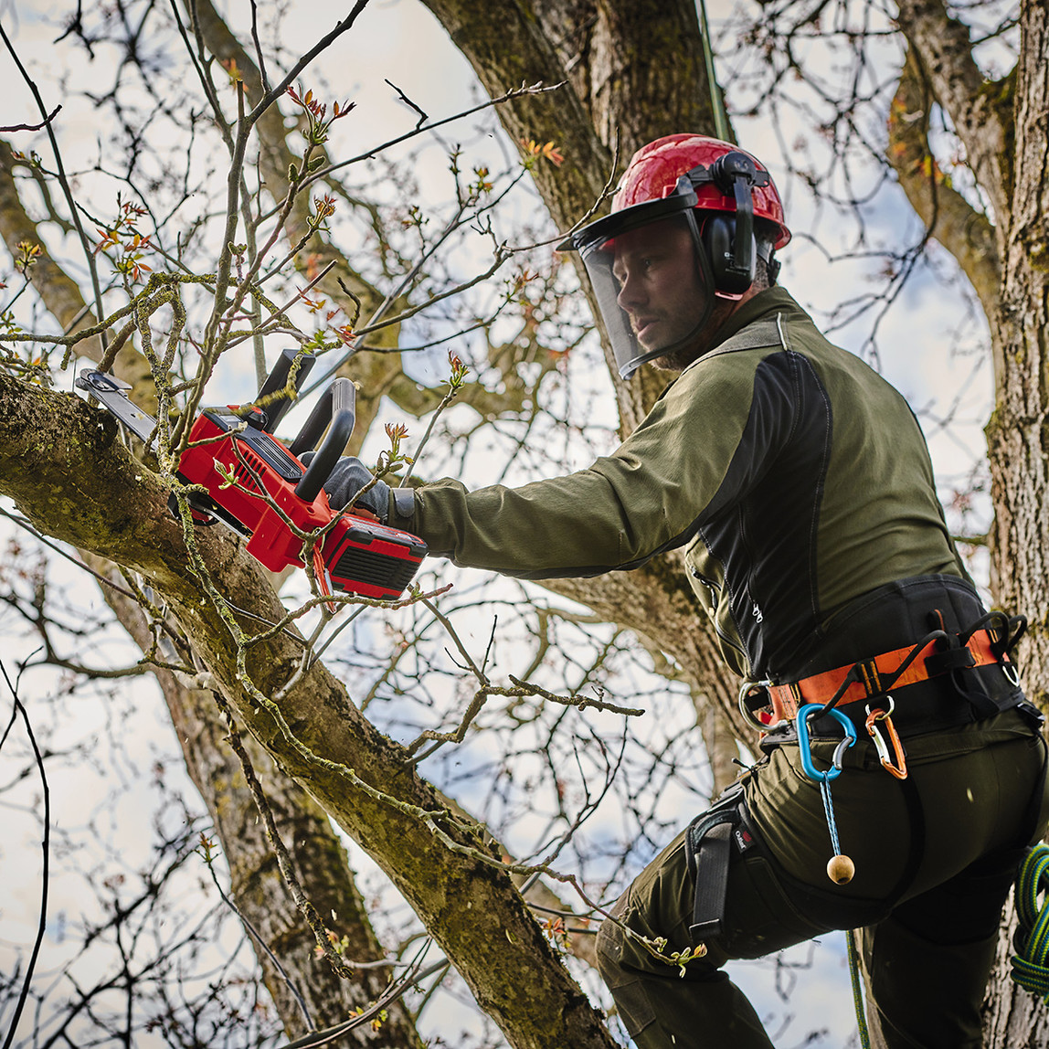    Einhell Fortexxa 18/20 TH Akülü Ağaç Kesme Makinesi (Akü ve Şarj Cihazı Dahil Değildir) 