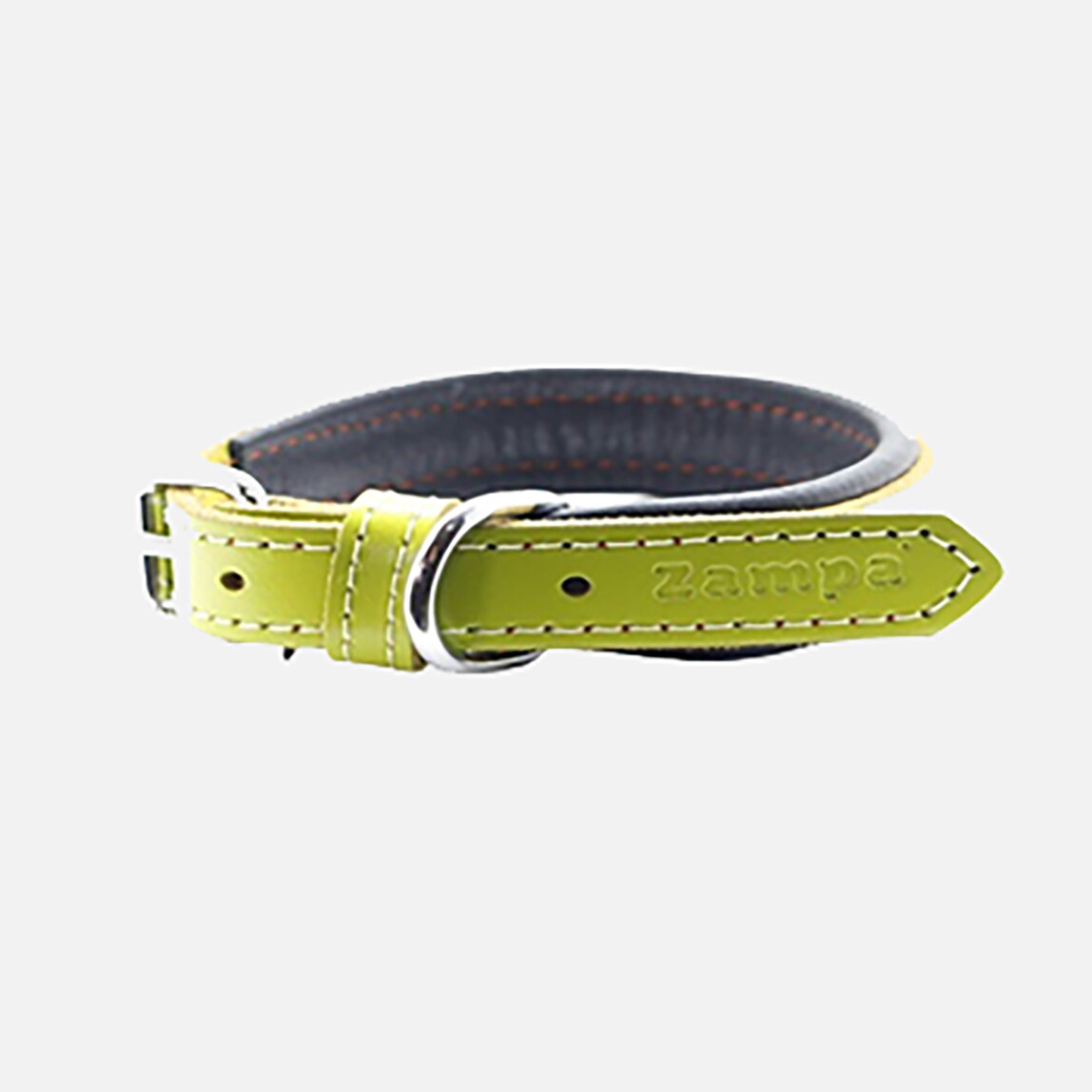    Zampa Köpek Boyun Tasması Yeşil 42 cm  