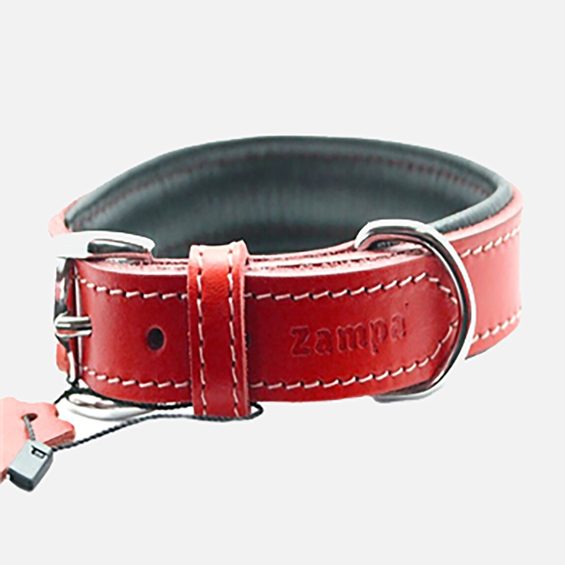    Zampa Köpek Boyun Tasması Kırmızı 72 cm 