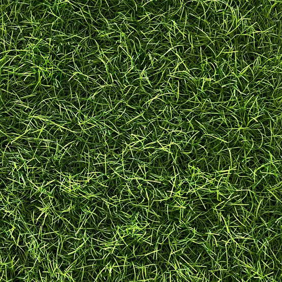  Badem 28 mm Hav Yüksekliğinde Çim Halı - 200 cm En
