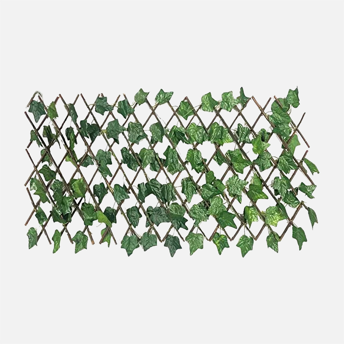    Akordiyon Söğüt Çit 100x180cm 