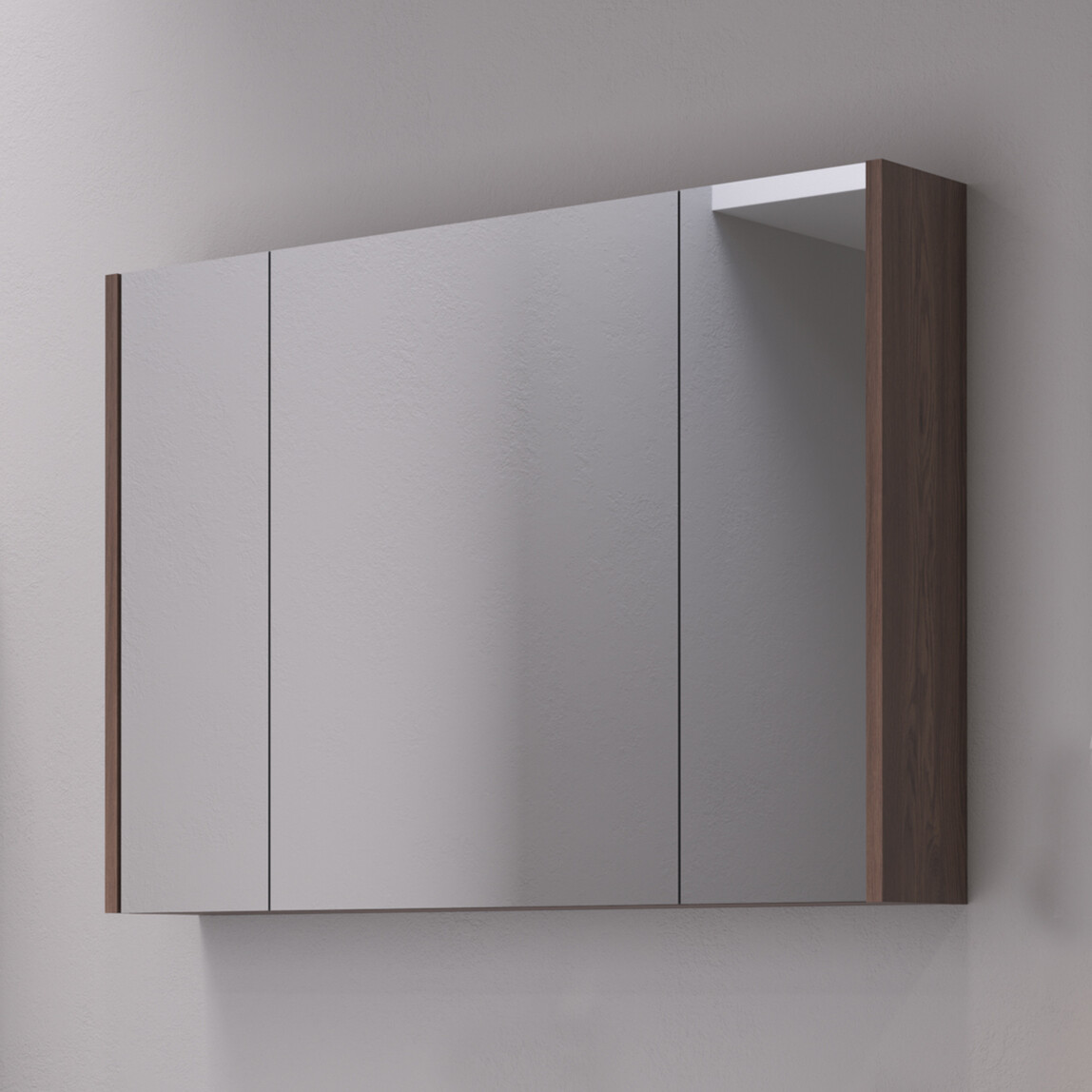    Bonitobagno Salvo Aynalı 100 cm Banyo Dolabı Üst Modül Antrasit 