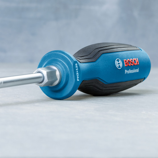 Bosch Profesyonel Tornavida Sl6.5x125mm 