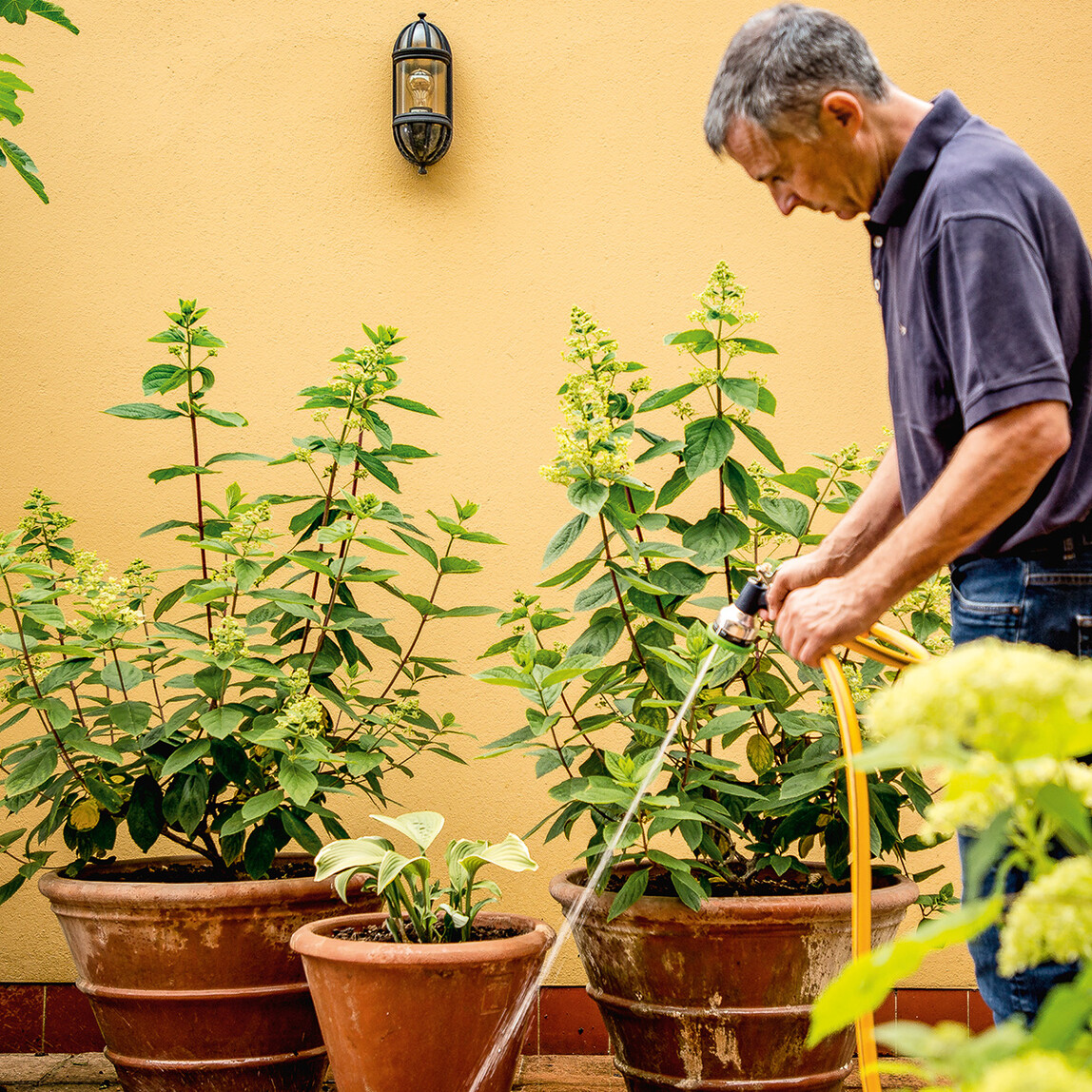    Bosch Gardenpump 18-2000 Akülü Solo Bahçe Sulama Pompası (Akü ve Şarj Cihazı Dahil Değildir)
  