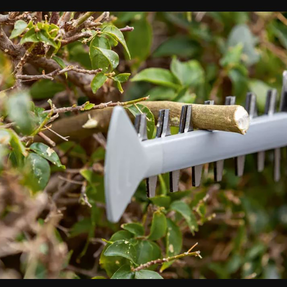    Bosch GHE 18V-60 Profesyonel Çit Kesme Makinesi (Akü ve Şarj Cihazı Dahil Değildir) 