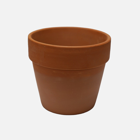  Terracota İtalyan Kaktüs Naturel Saksı  Q8,5cm
