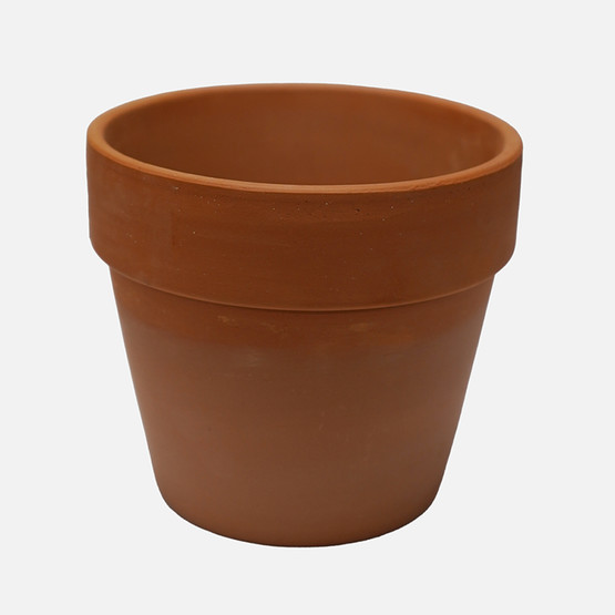 Terracota İtalyan Kaktüs Naturel Saksı Q10,5cm
