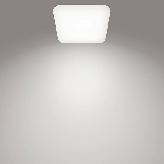 Philips Mauve Kare Plafonyer 12W Beyaz Işık