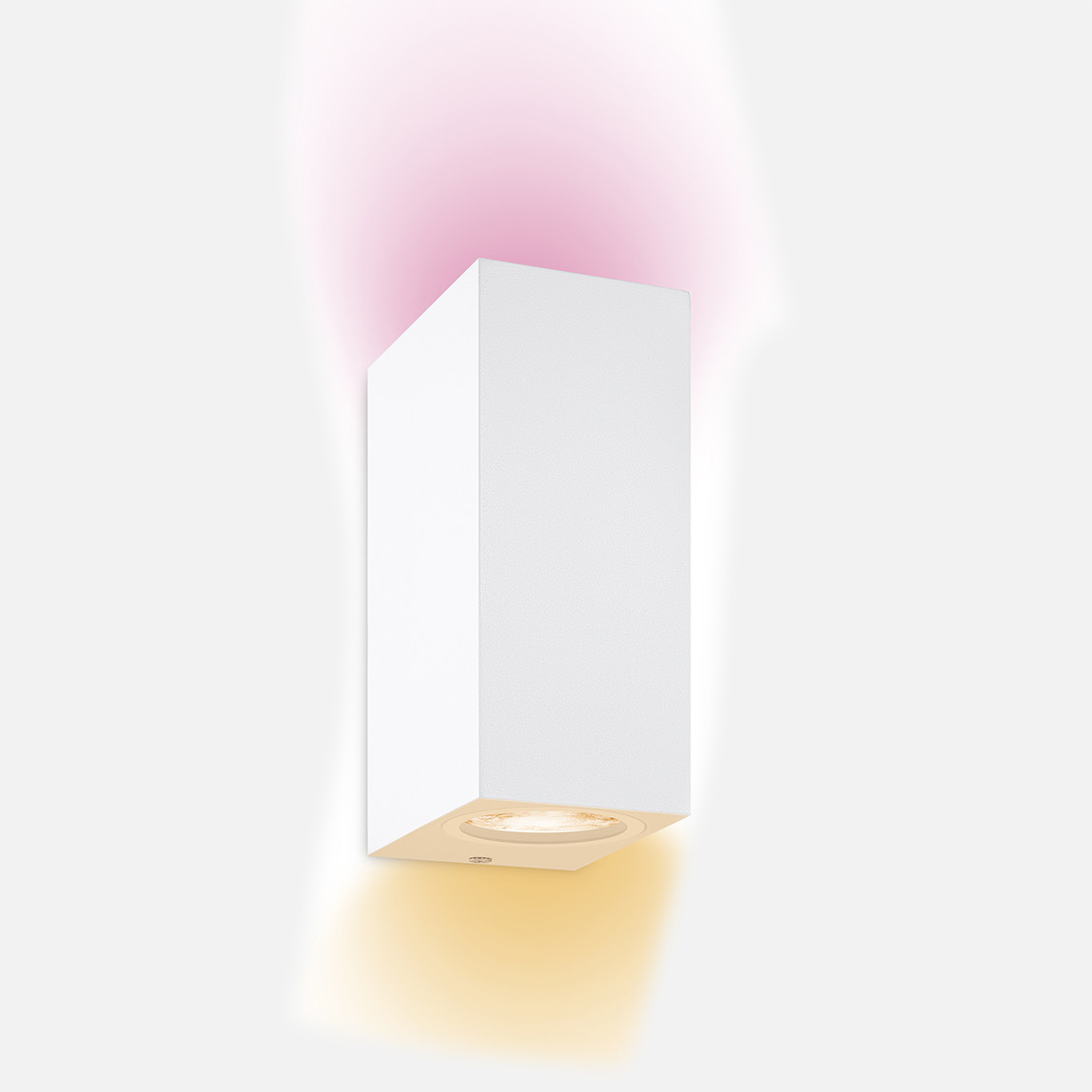    Wiz Updown Spot 2x5w W 22-65 