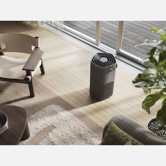 Electrolux EPO60571DG 5 Aşamalı Hava Temizleme Cihazı