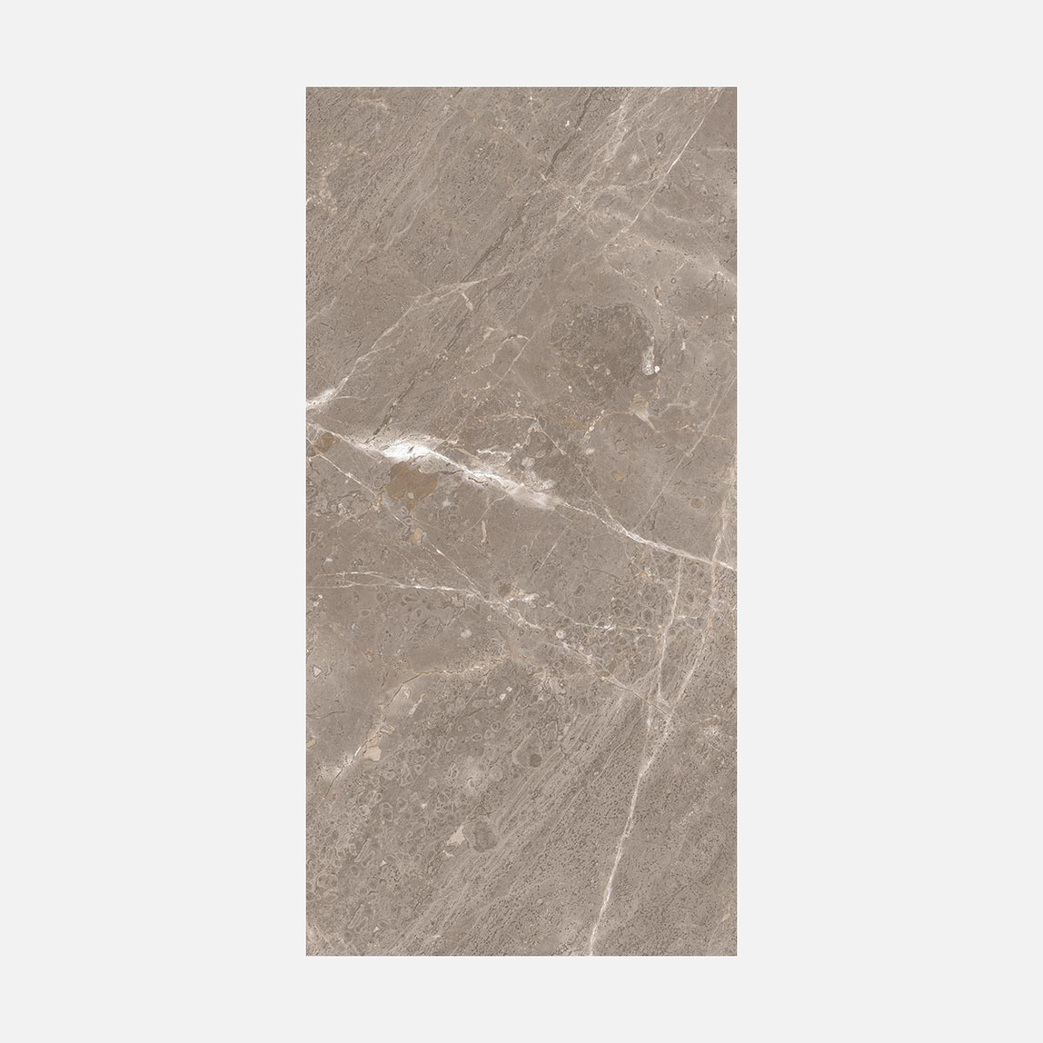    Padova Taupe Tam Parlak REK.K:8 60x120 cm 1 Kutu=1,44M2 