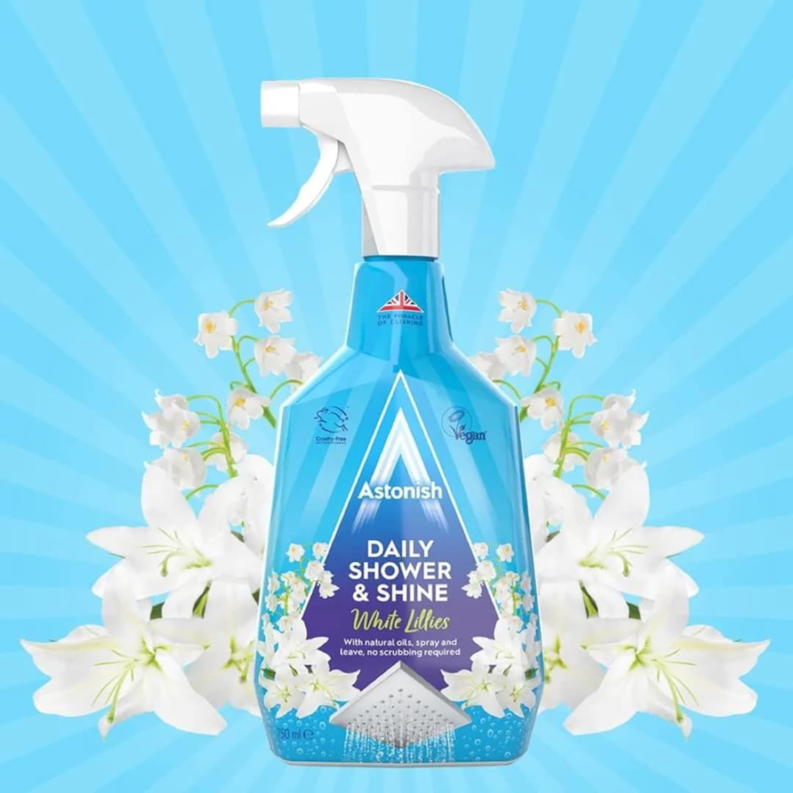    Astonish Koltuk Halı ve Duşakabin Temizleyici Set 