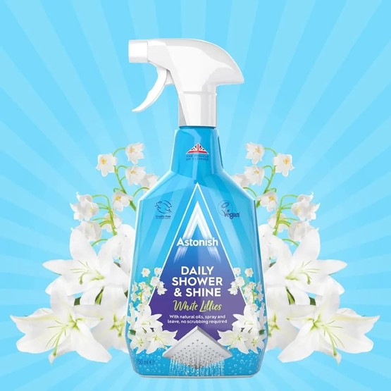 Astonish Koltuk Halı ve Duşakabin Temizleyici Set