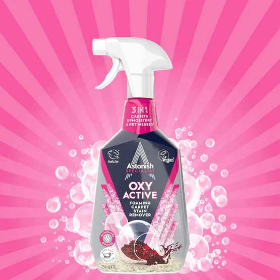 Astonish Koltuk Halı ve Duşakabin Temizleyici Set