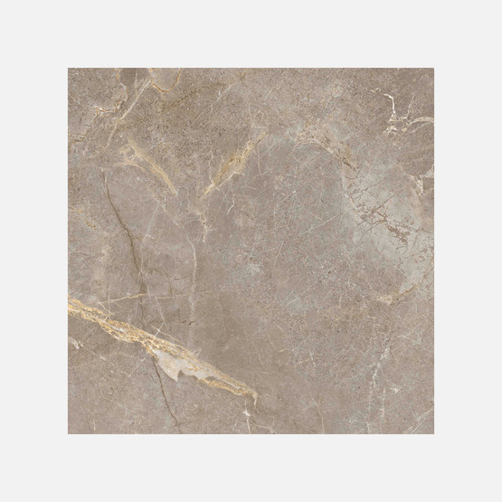 Sırlı Granit Salvia TA GS-D8841 60x60 cm 1 Kutu=1,8m2