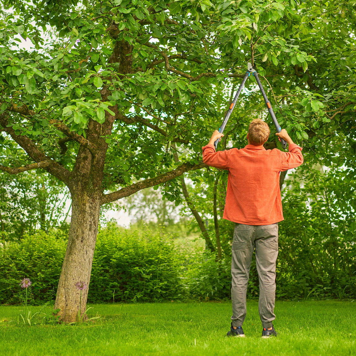    Gardena Dal Makası TeleCut Pro L (12041-20) 