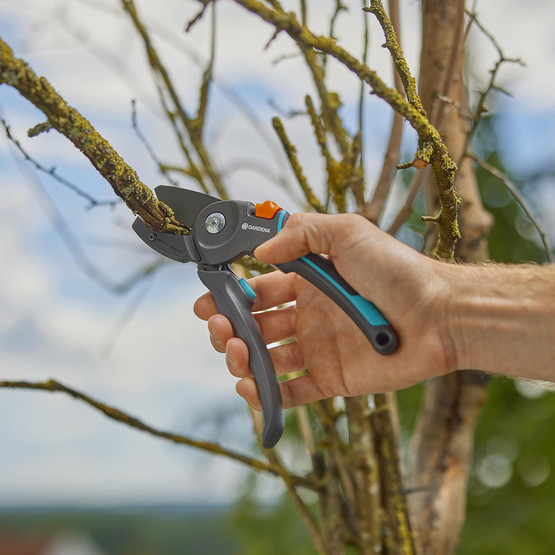 Gardena Budama Makası PremiumCut Pro Kuru Dal, Örs Tipi, 24 mm Kesim Çapı (12250-20)