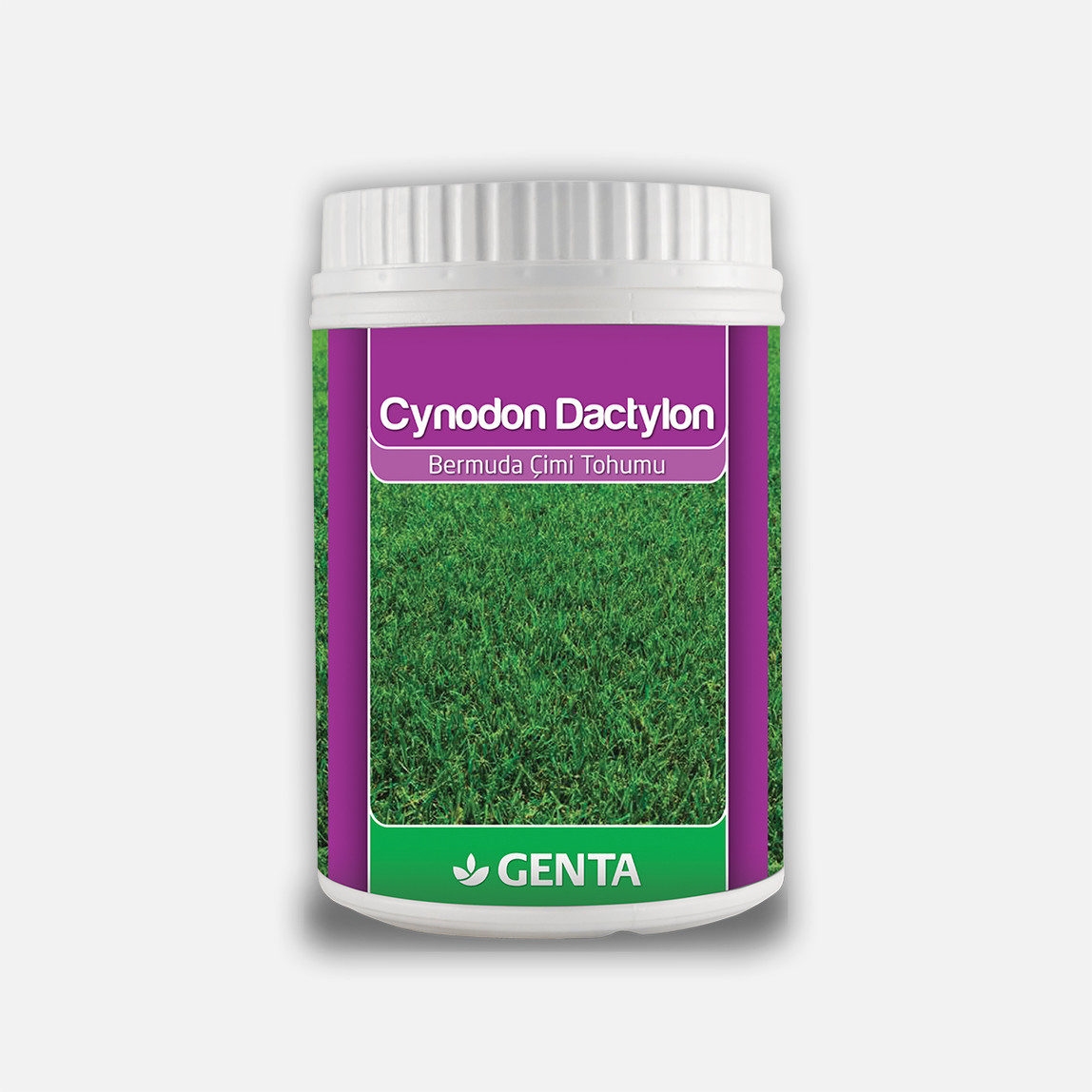    Genta Cynodon Dactylon Bermuda Çimi 500 Gr 