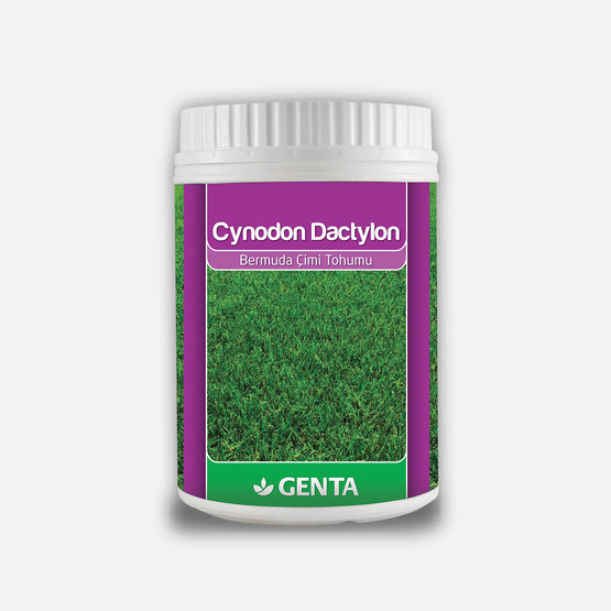 Genta Cynodon Dactylon Bermuda Çimi 500 Gr