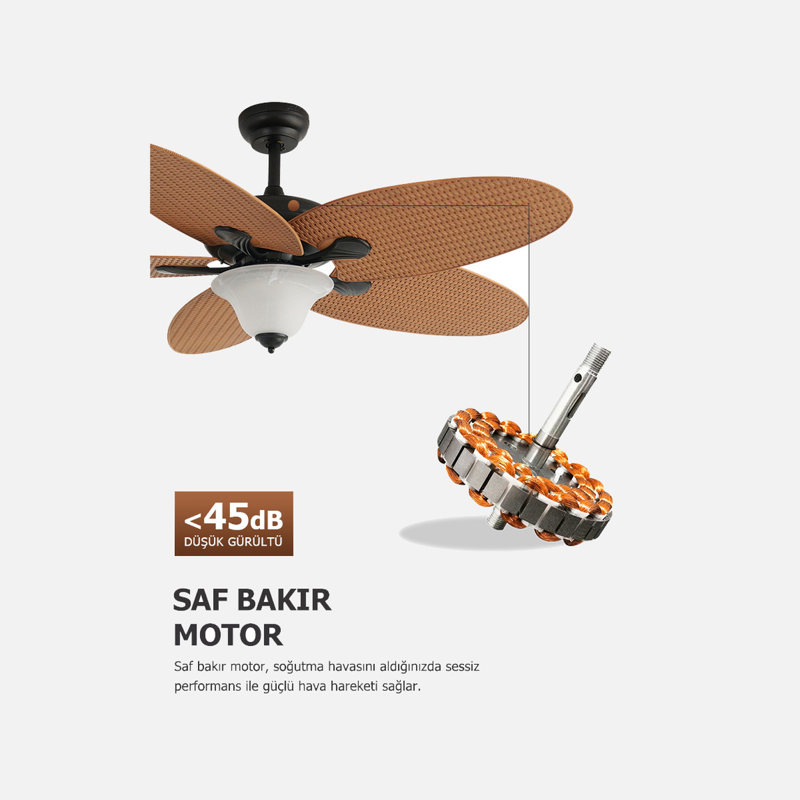    Dlc Carpinteiro Tavan Vantilatörü 2XE27 132cm Uzaktan Kumandalı 