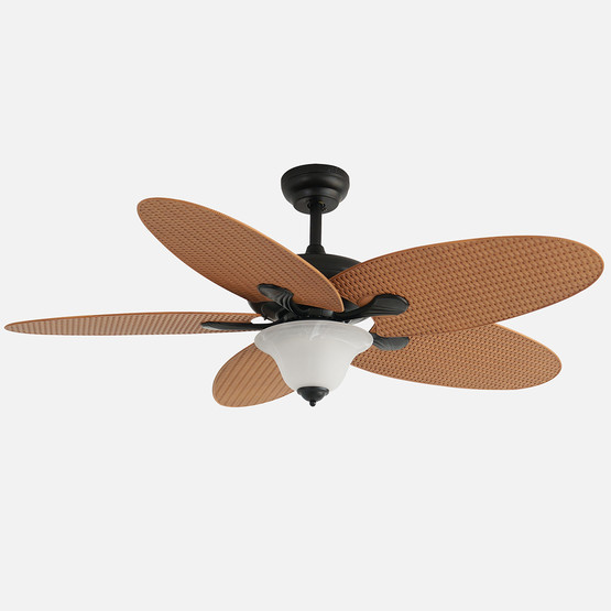 Dlc Carpinteiro Tavan Vantilatörü 2XE27 132cm Uzaktan Kumandalı
