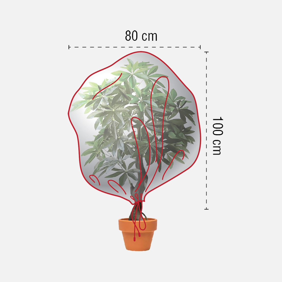    Bitki Soğuk ve Don Koruma Örtüsü 2 Adet 80x100 