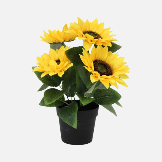 Saksıda Ayçiçeği 28cm