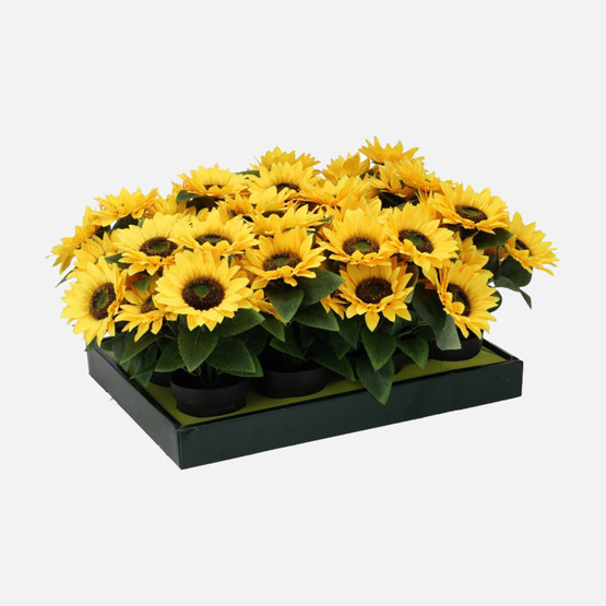 Saksıda Ayçiçeği 28cm