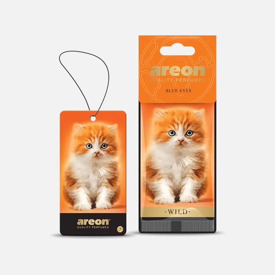 Wild Free Blue Eys Kedi Oto Kokusu