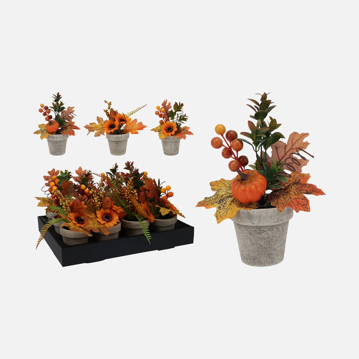    Saksıda Sonbahar Bitkisi 21 cm 