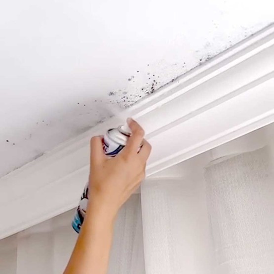 Vodaseal Anti-Küf Yalıtım Sprey Boya Beyaz 500ML  
