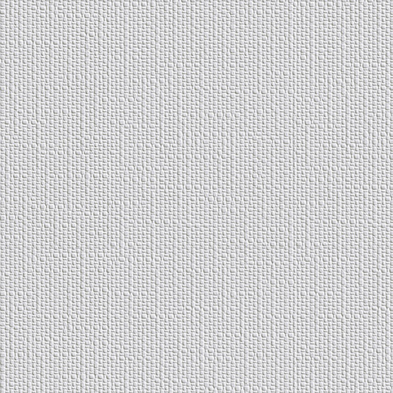 Erfurt Protect 206 Boyanabilir Duvar Kağıdı