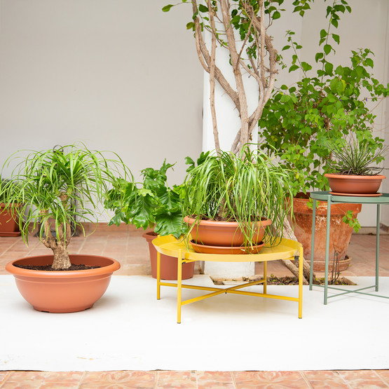 Artevasi Venezia Bitki Saksısı Terracotta 23 Lt