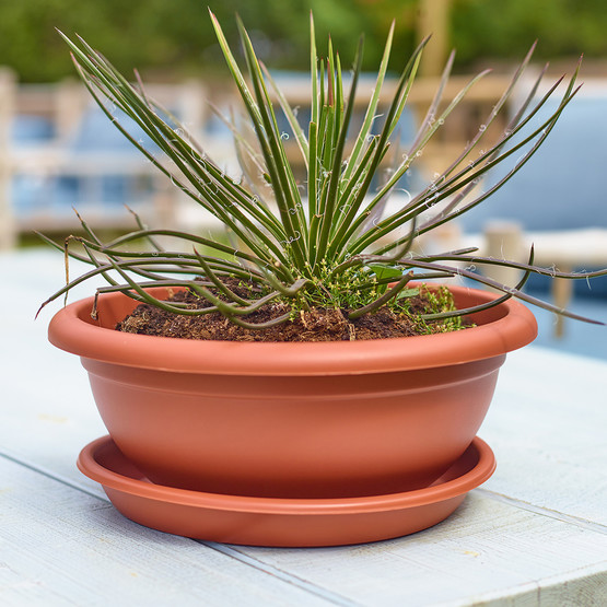 Artevasi Venezia Bitki Saksısı Terracotta 23 Lt