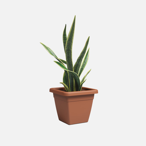 Artevasi Venezia Saksı Terracotta 12,8 Lt