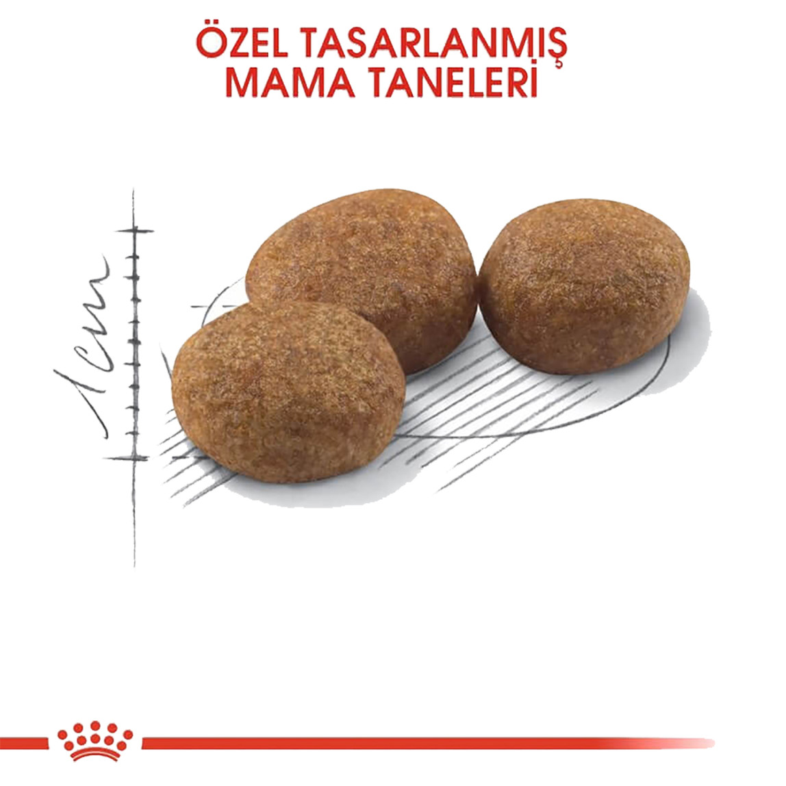    Royal Canin Sterilised 37 Kısırlaştırılmış Kedi Maması 400 Gr  