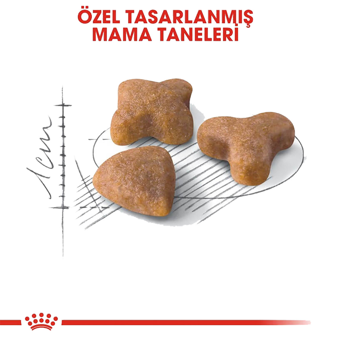    Royal Canin Sensible 33 Kuru Kedi Maması 400 Gr 
 