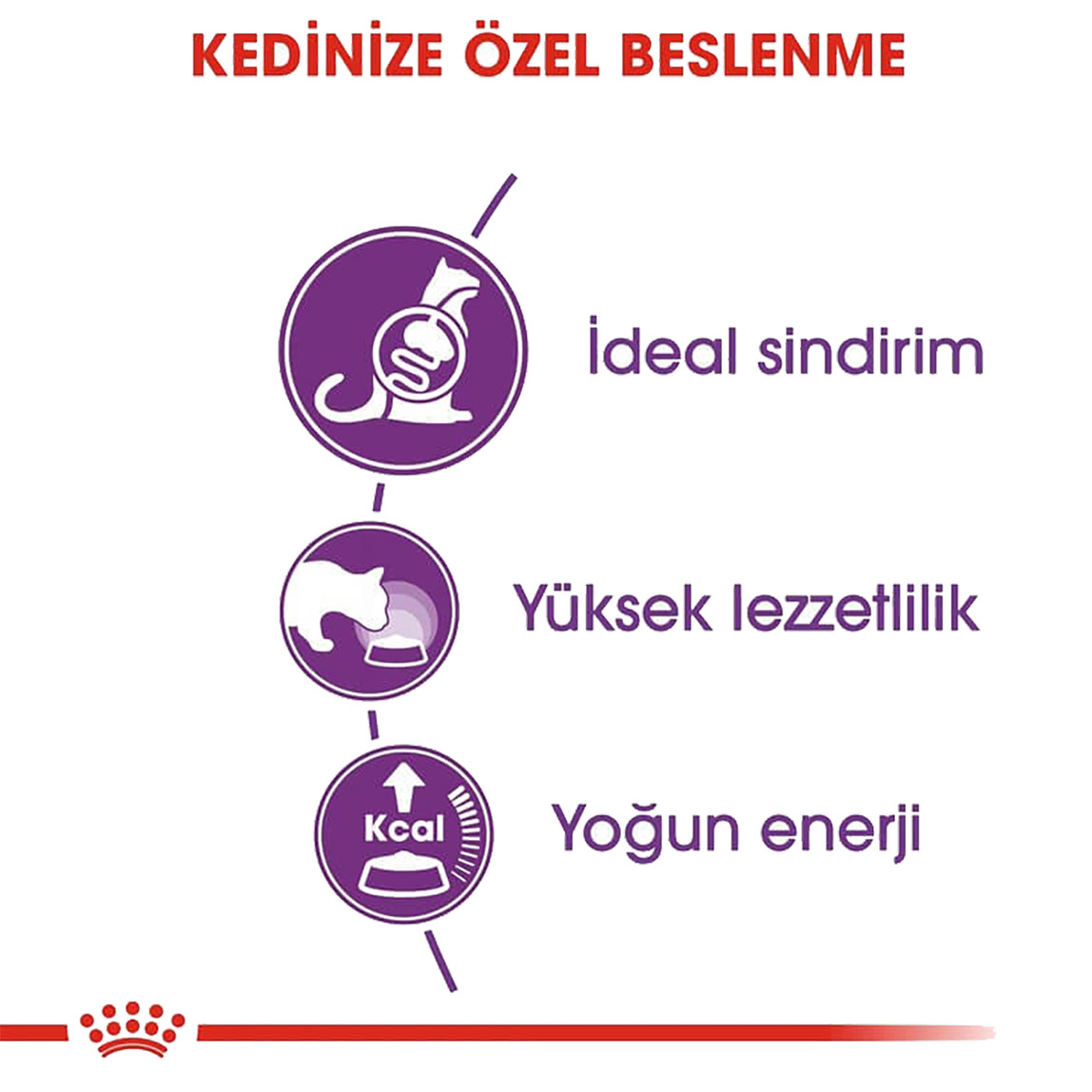    Royal Canin Sensible 33 Kuru Kedi Maması 400 Gr 
 