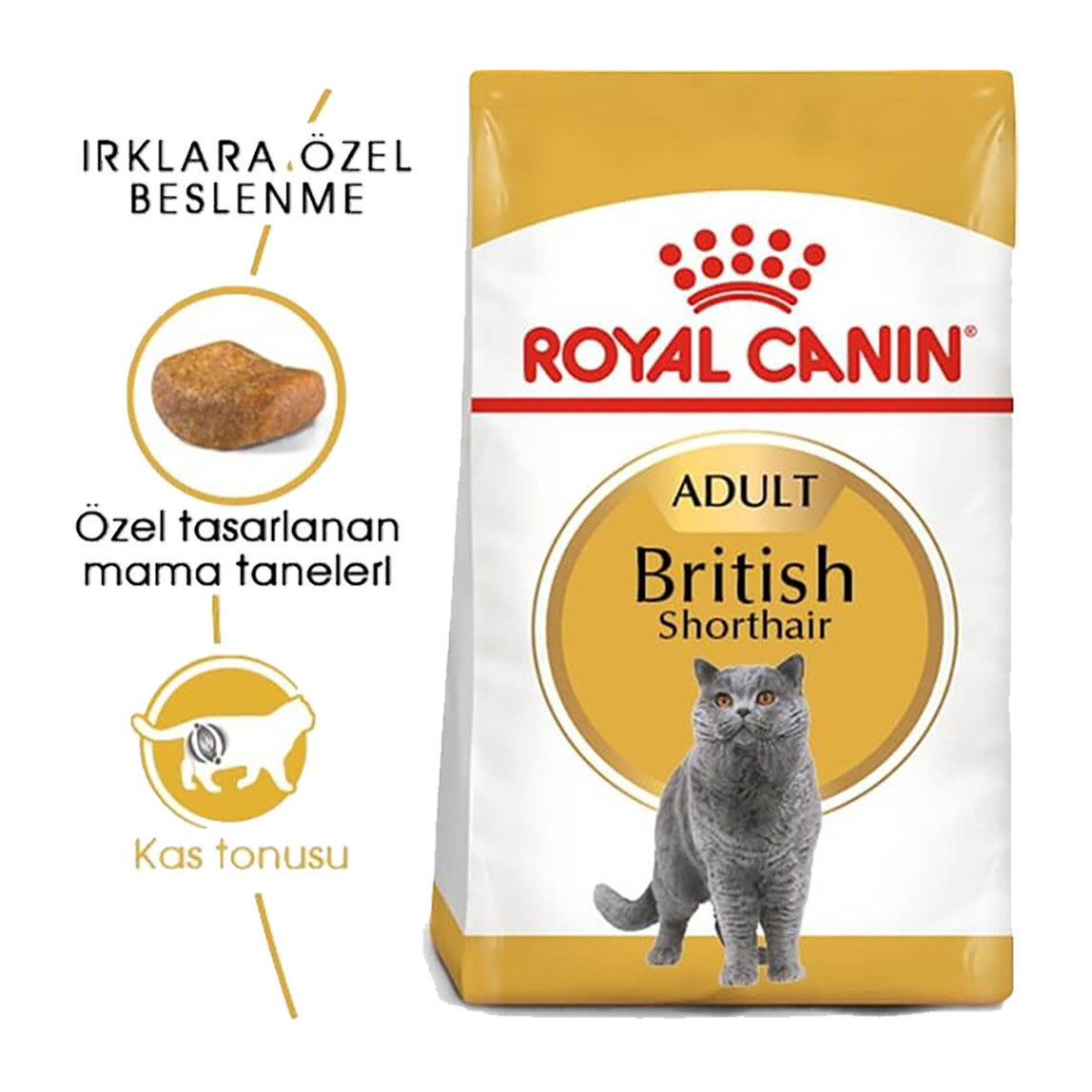    Royal Canin British Shorthair Kedi Maması 400 Gr 
 