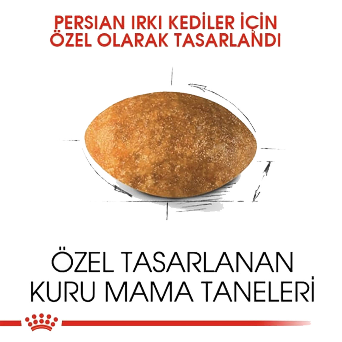    Royal Canin Persian Adult Kuru Kedi Maması 400 Gr  